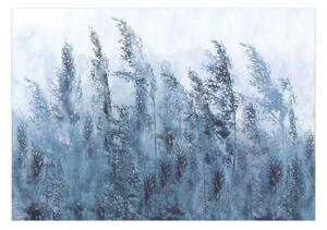 Samolepící fototapeta - Vysoké trávy - šedé 98x70