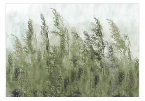 Samolepící fototapeta - Vysoké trávy - zelené 98x70