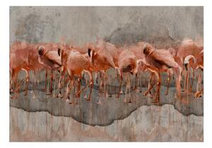 Fototapeta - Jezero Flamingo 250x175 + zdarma lepidlo