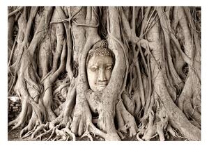 Fototapeta - Buddhův strom 200x140 + zdarma lepidlo