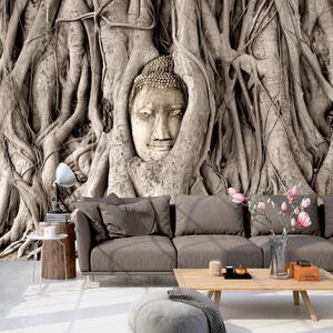 Fototapeta - Buddhův strom 200x140 + zdarma lepidlo