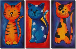 Obraz Tři kočky (3-dílný) - barevná kompozice s kočkami pro děti