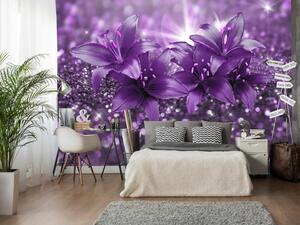 Fototapeta Poklady přírody - květiny lilie ve fialové kompozici s leskem
