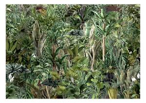 Samolepící fototapeta - Bohatství džungle 147x105