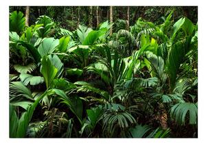 Samolepící fototapeta - Svěžest džungle 147x105