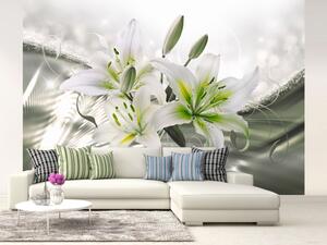 Fototapeta Krása lilie - bílé květiny na zeleném pozadí s efektem záře