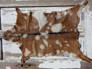 ARCTIC FUR Kozí kůže ALPS 6101 velká 100% příroda