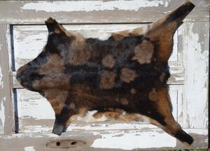 ARCTIC FUR Kozí kůže ALPS 6109 velká 100% příroda