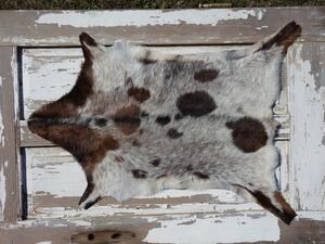 ARCTIC FUR Kozí kůže ALPS 6113 velká 100% příroda