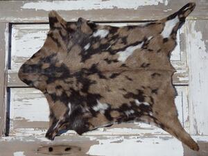 ARCTIC FUR Kozí kůže ALPS 6106 velká 100% příroda