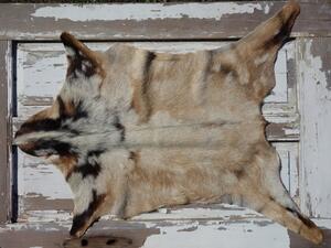 ARCTIC FUR Kozí kůže ALPS 6103 velká 100% příroda