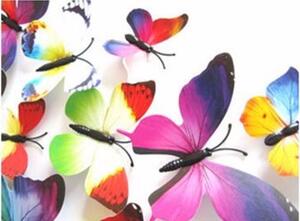 Živá Zeď Barevní 3D Motýlci Vícebarevní