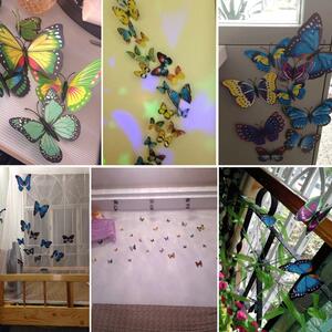 Živá Zeď Barevní 3D Motýlci Modří