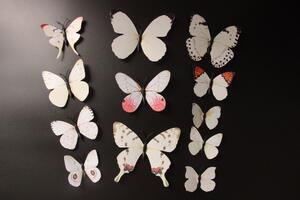 Živá Zeď Barevní 3D Motýlci Bílí
