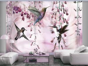 Fototapeta Létající ptáci - motiv kolibrů mezi květy v růžových odstínech
