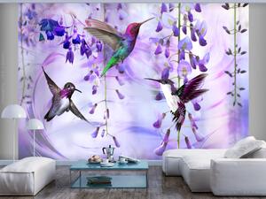 Fototapeta Létající kolibři - motiv létajících ptáků mezi květy v fialové