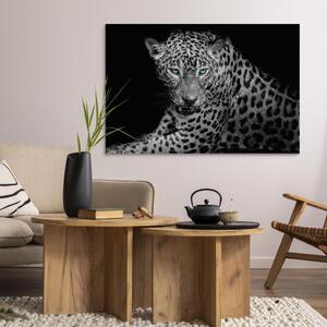 Obraz Leopardí portrét (1dílný) široký