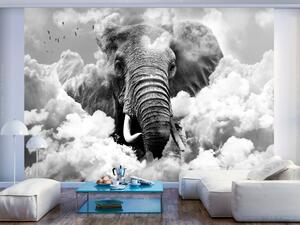 Fototapeta Abstrakce se slonem - africký slon na nebi mezi mraky s ptáky