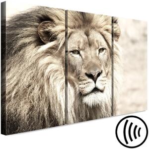 Obraz Kráľ zvířat (3-dílný) béžový - lev jako vládce afrických krajin