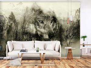 Fototapeta Predátor z hor - vlk mezi lesními stromy v horách v šedých tónech