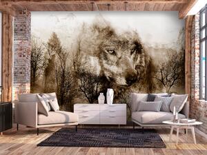 Fototapeta Predátor z hor - samotný vlk mezi lesními stromy v horách v sepia