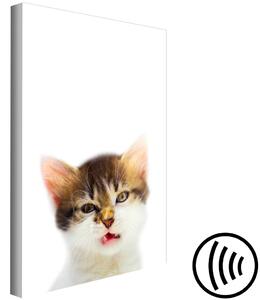 Obraz Kočičí styl (1-dílný) - Domácí zvíře s nádechem divočiny v objektivu