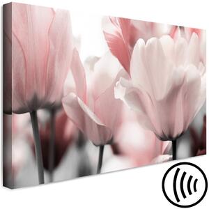 Obraz Jarní lístky (1 díl) - Tulipánový květ v růžovém odstínu