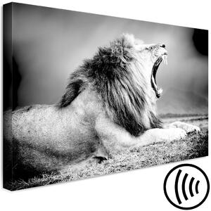 Obraz Síla lvího ryku (1-dílný) - Dravé zvíře v černobílém pozadí