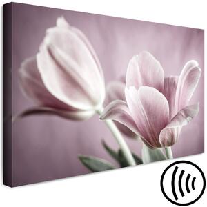Obraz Tulipánová příroda (1 díl) - Růžový květ ve jarním provedení