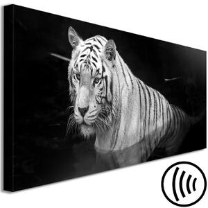 Obraz Zářící tygr (1dílný) černobílý úzký