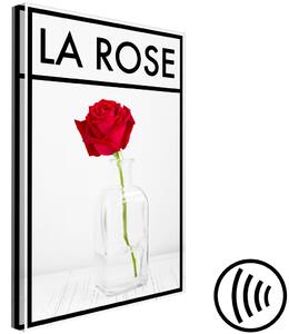 Obraz Růže - intenzivně červený květ růže ve váze na světle šedém pozadí s černým rámem a nápisem ve francouzštině, ideální do pokoje nebo jídelny