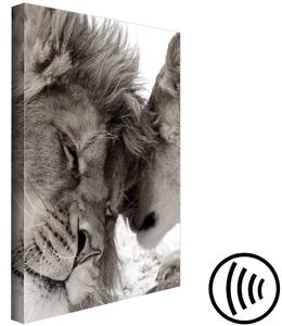 Obraz Šepot (1-dílný) - černobílý romantický portrét lvího páru