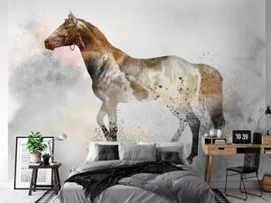 Fototapeta Rumák - motiv koně s barevným akcentem na pozadí s jednolitou texturou