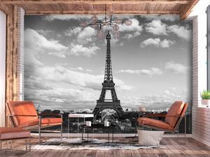 Fototapeta Paříž a Eiffelova věž - černobílá architektura s věží v centru