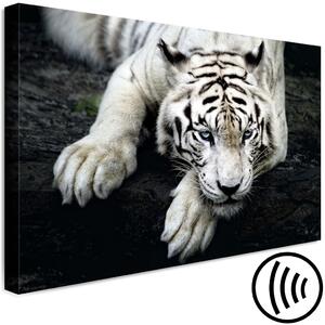 Obraz Hrozivý pohled (1-dílný) široký - první varianta - tygr
