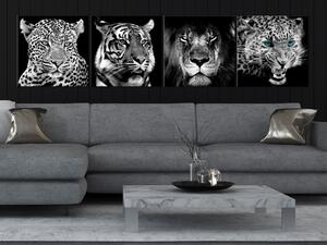 Obraz Velké kočky (4-dílný) - černobílí lvi v orientálním klimatu