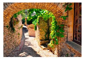 Samolepící fototapeta - Léto v Provence 98x70