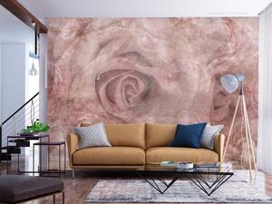 Fototapeta Růžová organza - abstraktně propletené růže a pivoňky za mlhavým voálem v odstínech pudrově růžové