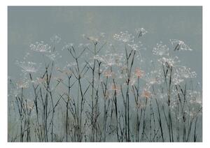 Samolepící fototapeta - Květy česneku 98x70