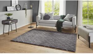 Mint, Moderní kusový koberec Allure 104392 Darkgrey/Cream | šedý Typ: 200x290 cm