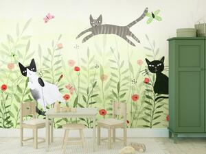 Fototapeta Kočičí lumpárny - kočky na louce s motýly mezi trávou a máky do pokoje