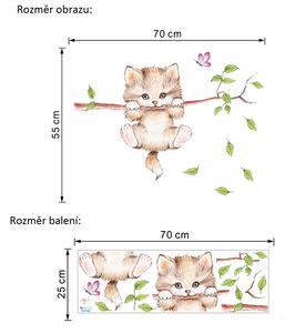 Živá Zeď Samolepka Malé kotě na větvi