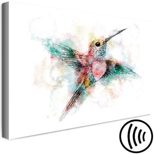 Obraz Barevný kolibřík (1-dílný) široký