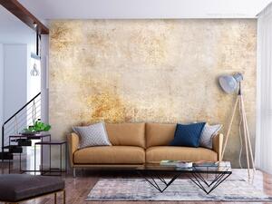 Fototapeta Elegantní abstrakce - pozadí s texturou betonu a zlatými ozdobami