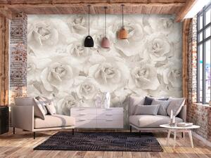 Fototapeta Krása přírody - kompozice s bílými růžovými květy v teplých barvách