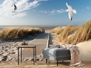 Fototapeta Letní krajina - krajina s ptáky na pozadí klidného moře a pláže