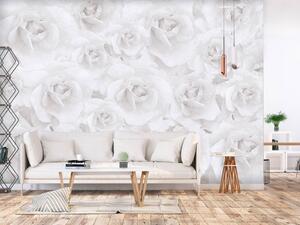 Fototapeta Krása přírody - kompozice s bílými růžovými květy v chladných barvách
