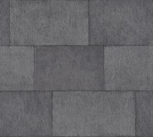 A.S. Création | Vliesová tapeta na zeď Titanium 3 38201-6 | 0,53 x 10,05 m | metalická, šedá