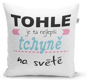 Sablio Polštář Tohle je ta nejlepší tchyně na světě: 40x40 cm