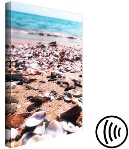 Obraz Letní pláž - mořská krajina mušlí na břehu modrého moře